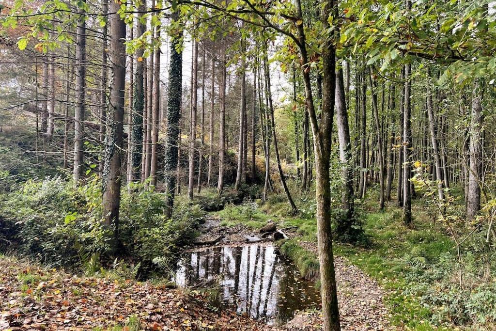 The Forest Retreat- Luxurioese Ferienwohnung Mit Privater Sauna Wermelskirchen Dış mekan fotoğraf